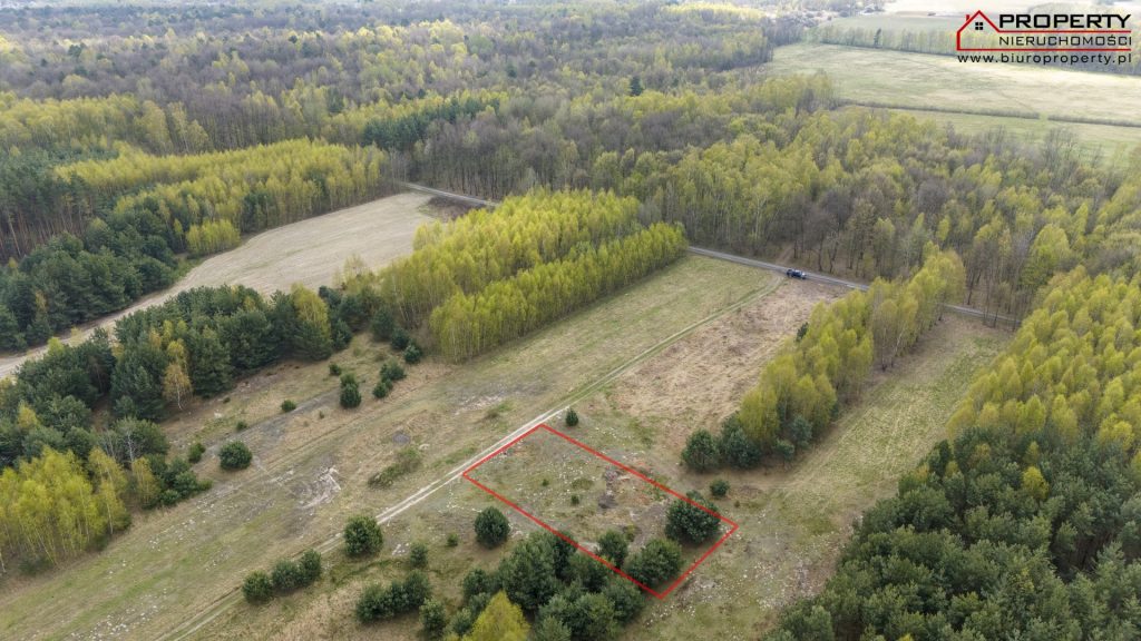 Działka budowlana 954m2, Włodarka, Nowy Folwark