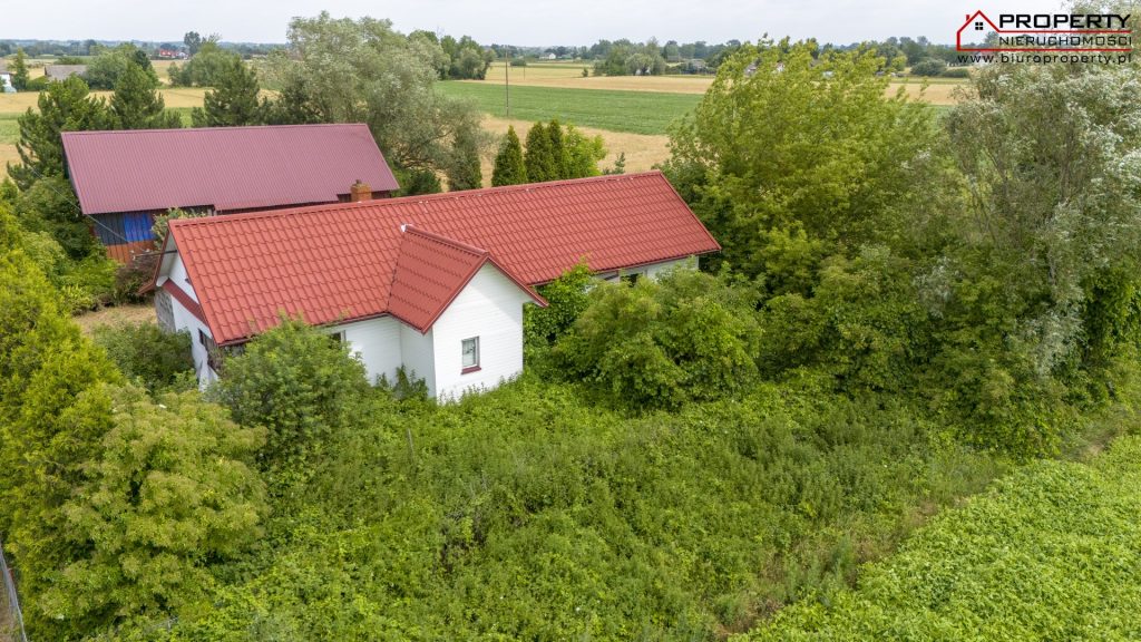 Dom 90m2 na działce 6100m2, Oblekoń, gmina Pacanów