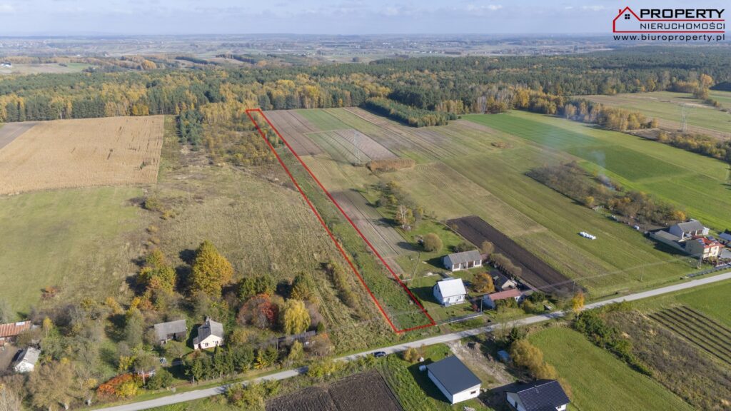 Działka rolno-budowlana 8073m² z WZ i prywatnym lasem – Balice, gm. Gnojno