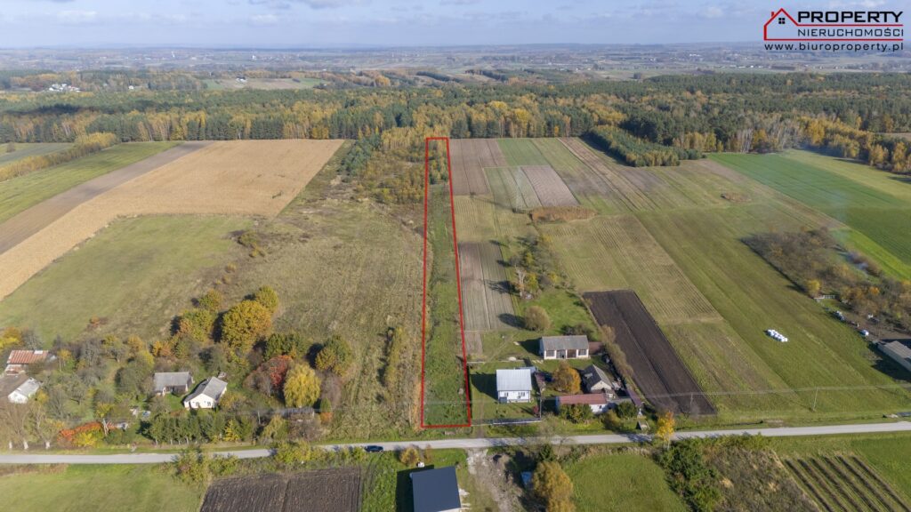 Działka rolno-budowlana 8073m² z WZ i prywatnym lasem – Balice, gm. Gnojno