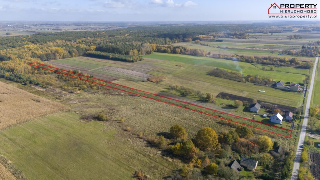 Działka rolno-budowlana 8073m² z WZ i prywatnym lasem – Balice, gm. Gnojno