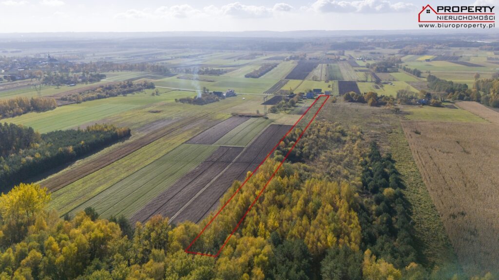 Działka rolno-budowlana 8073m² z WZ i prywatnym lasem – Balice, gm. Gnojno