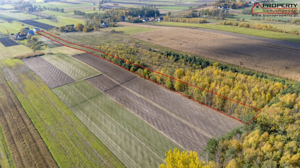 Działka rolno-budowlana 8073m² z WZ i prywatnym lasem – Balice, gm. Gnojno